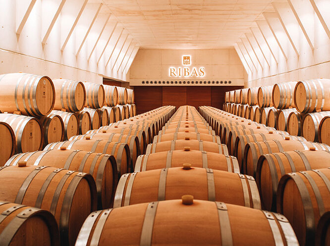 Bodega Ribas